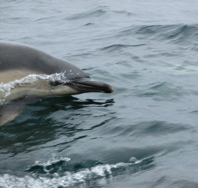 Aultbea Lodges Kültér fotó